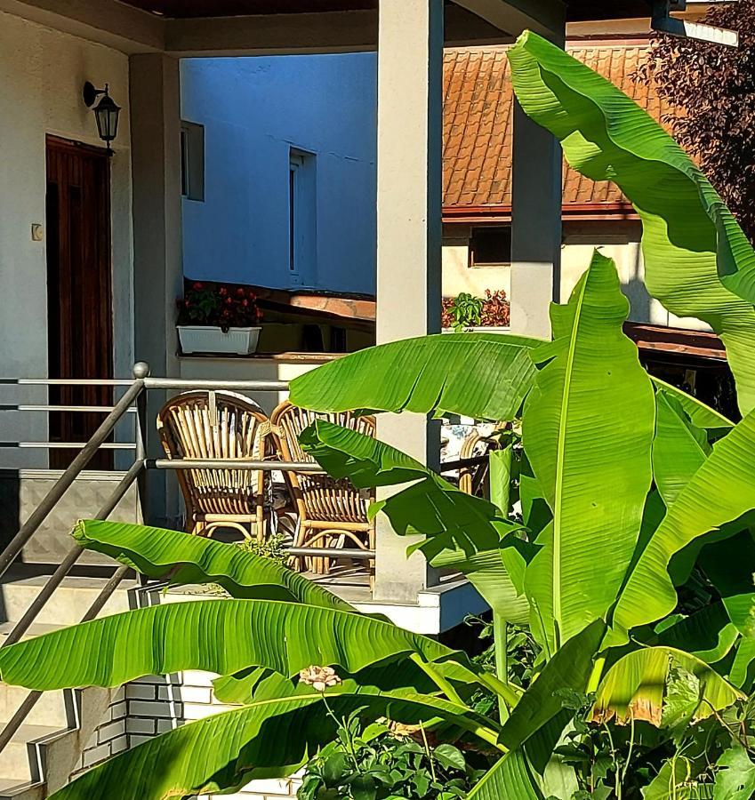 Makabo-Apartment In House สโกเปีย ภายนอก รูปภาพ